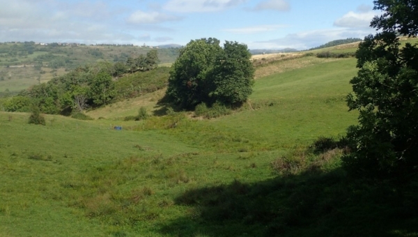 Inventaires de zones humides sur le bassin Allier aval